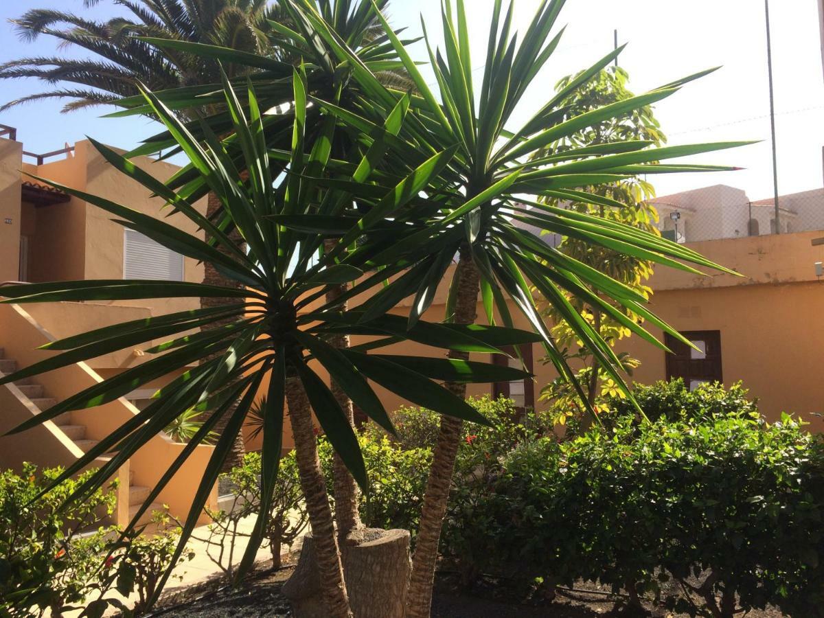 Lasvistas Corralejo Eksteriør billede